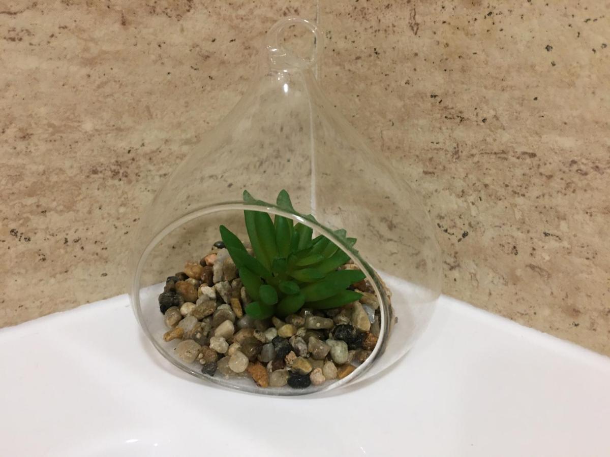 Elegantza Suites Brassó Kültér fotó