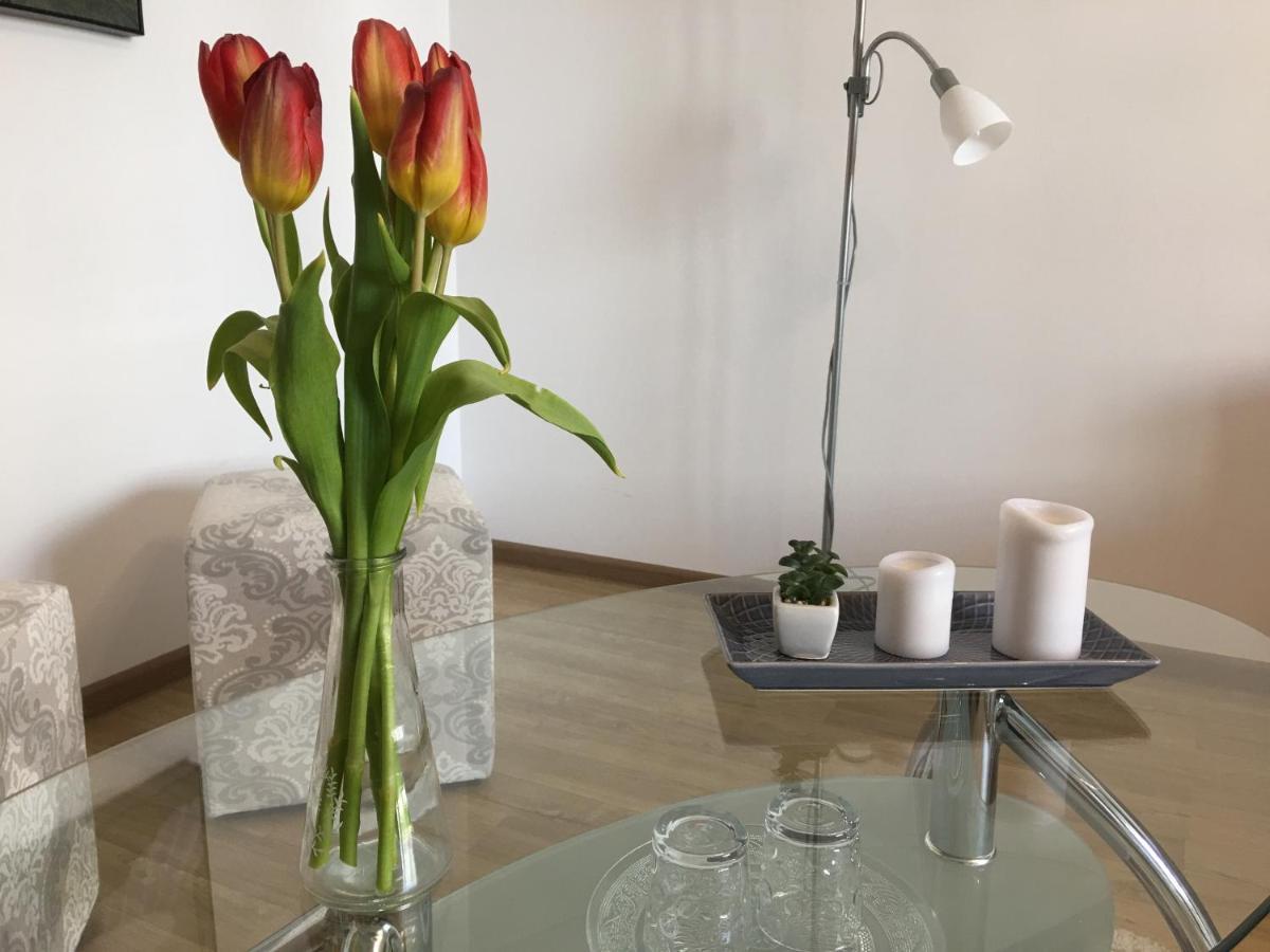 Elegantza Suites Brassó Kültér fotó