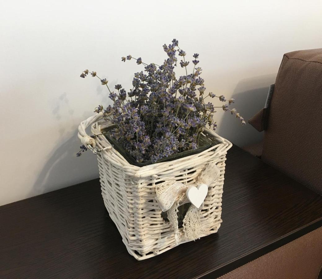 Elegantza Suites Brassó Kültér fotó
